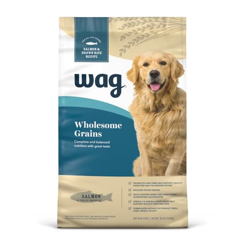 Dry Dog Food, Salmon and Brown Rice, 30 lb Bag (Pack of 1)