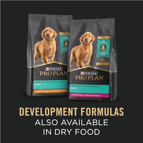 High Protein Puppy Food Pate, Chicken and Brown Rice Entree - (Pack of 12) 13 oz. Cans