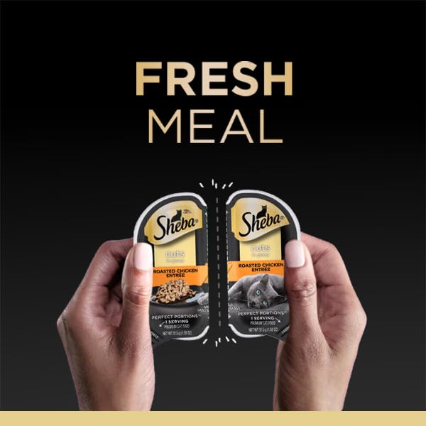 Cuts in Gravy Adult Wet Cat Food Trays, Roasted Chicken, Gourmet Salmon, and Sustainable Tuna Entrée