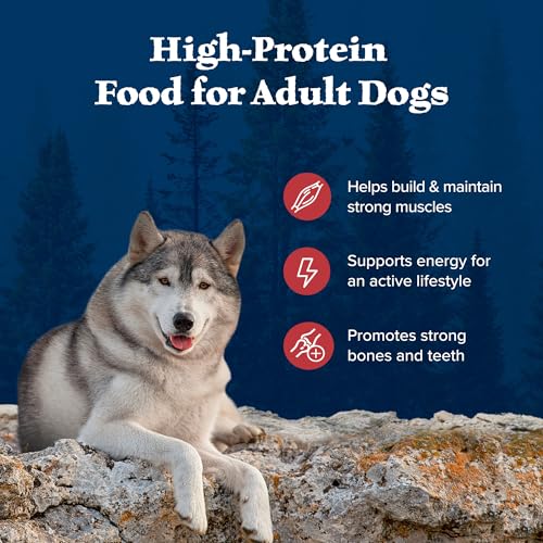 High-Protein Adult Dry Dog Food Wholesome Grains Red Meat