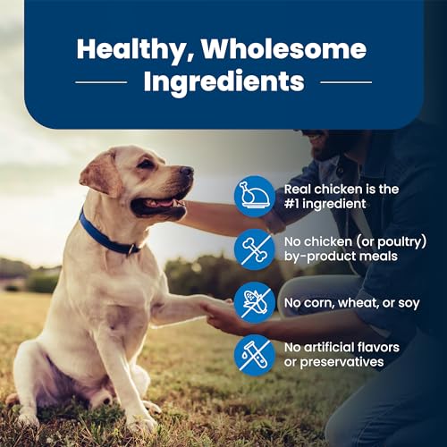 Life Protection Formula Senior Dry Dog Food, Supports Joint Health and Mobility Chicken & Brown Rice Recipe, 30-lb. Bag