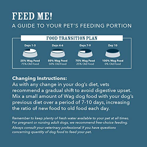 Dry Dog Food, Salmon and Brown Rice, 30 lb Bag (Pack of 1)