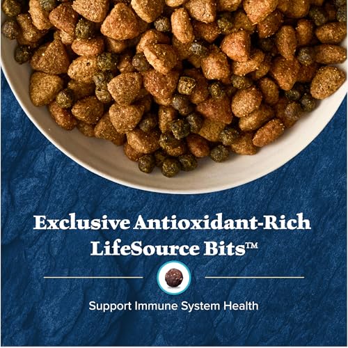 High-Protein Adult Dry Dog Food Wholesome Grains Red Meat