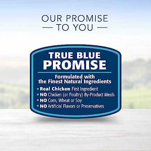Life Protection Formula Adult Dry Dog Food, Helps Build and Maintain Strong Muscles