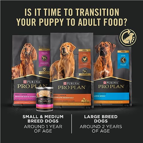 High Protein Puppy Food Pate, Chicken and Brown Rice Entree - (Pack of 12) 13 oz. Cans