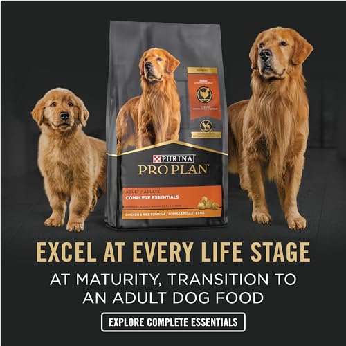 High Protein Puppy Food Pate, Chicken and Brown Rice Entree - (Pack of 12) 13 oz. Cans