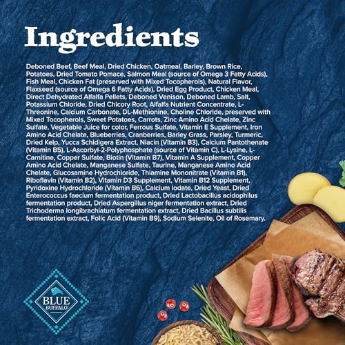 High-Protein Adult Dry Dog Food Wholesome Grains Red Meat