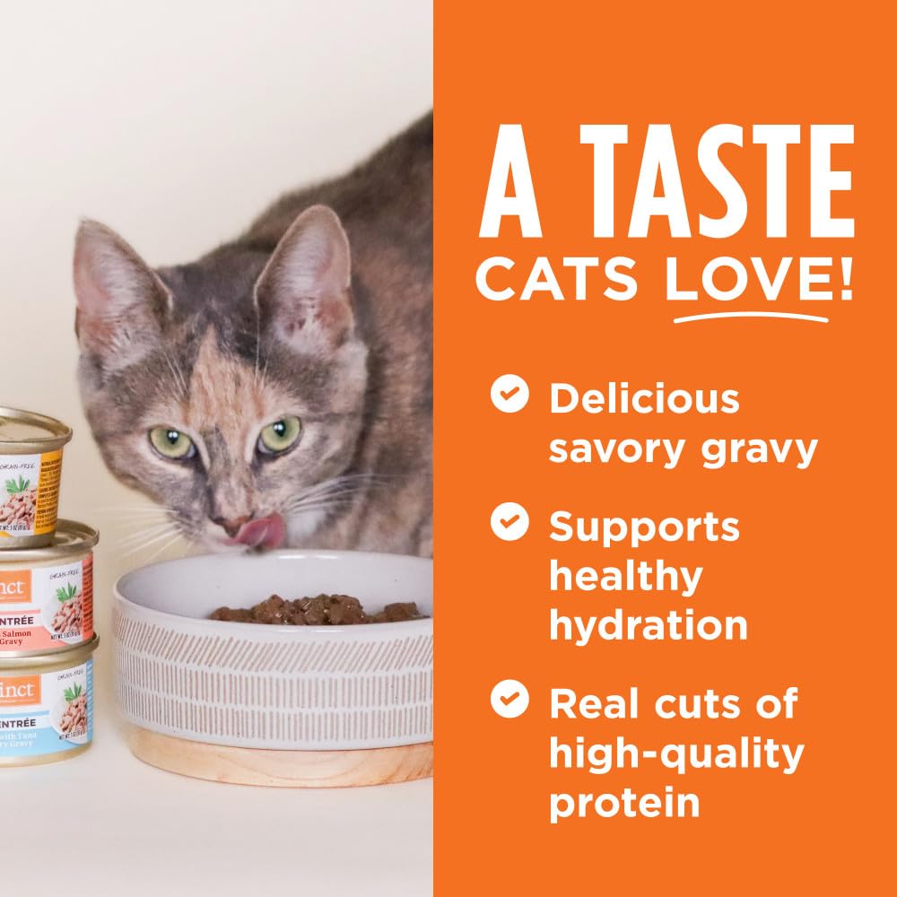 Instinct Flaked Chicken Entrée Wet Cat Food - 3 Ounces, 24 Pack