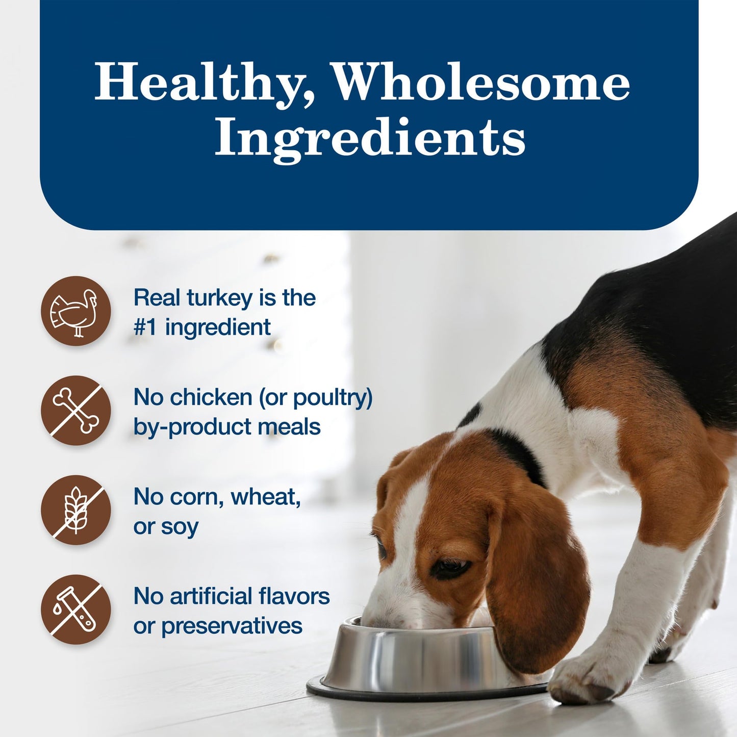 Homestyle Recipe Adult Wet Dog Food, Made with Natural Ingredients, Turkey Dinner With Garden Vegetables