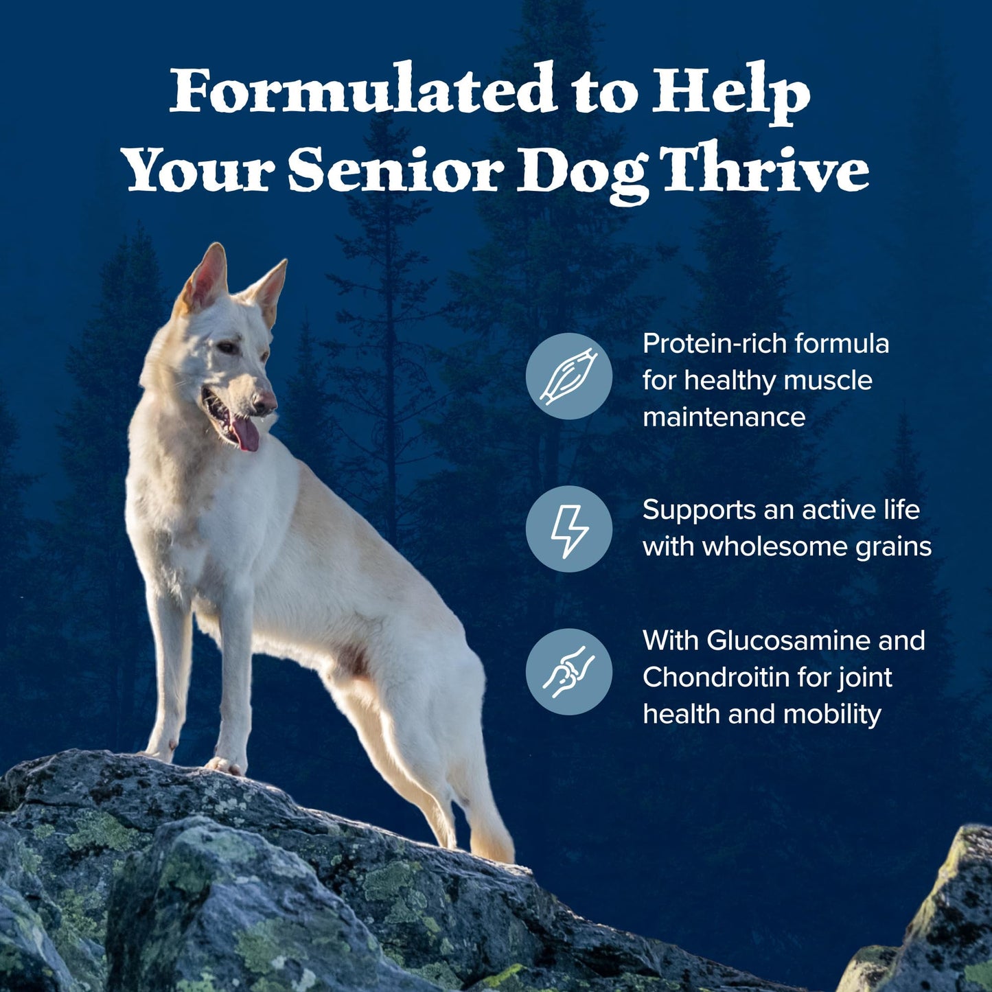 Wilderness Senior High Protein Dry Dog Food With Real Chicken Plus Wholesome Grains