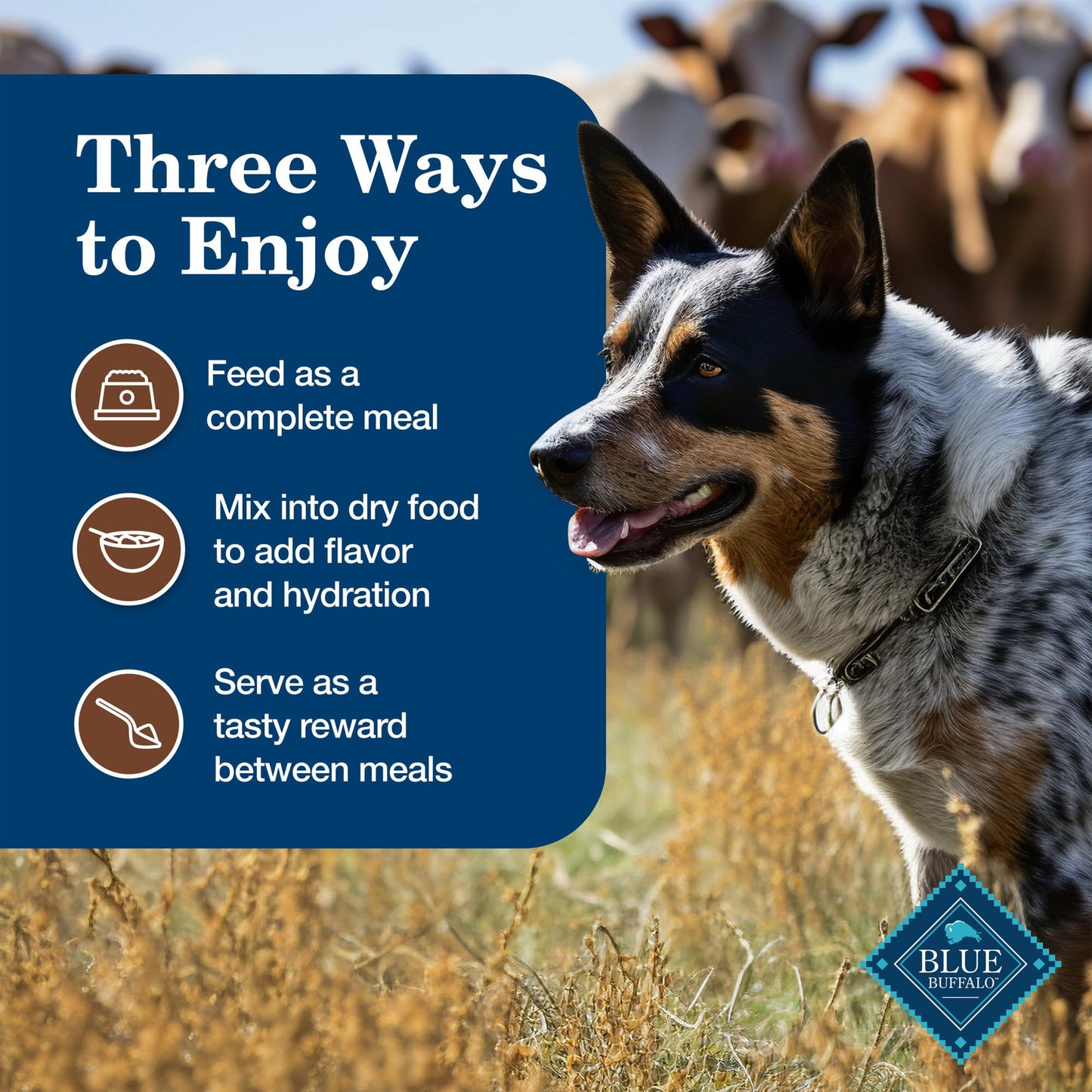 Homestyle Recipe Adult Wet Dog Food, Made with Natural Ingredients, Turkey Dinner With Garden Vegetables