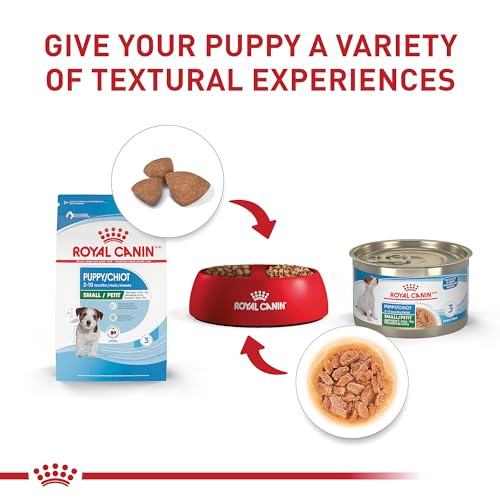 Royal Canin Size Health Nutrition Small Puppy Dry Dog Food, 2.5 lb bag