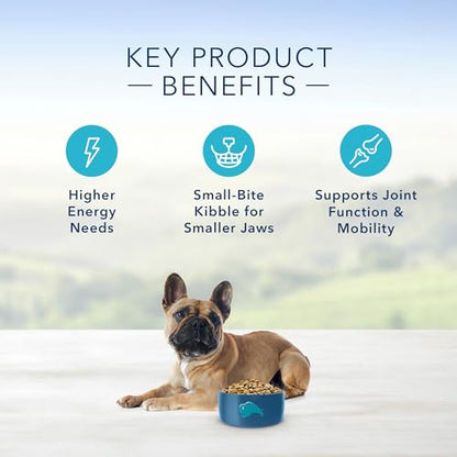 Life Protection Formula Adult Small Breed Dry Dog Food, Supports High Energy Needs, Made with Natural Ingredients, Chicken & Brown Rice Recipe, 5-lb. Bag
