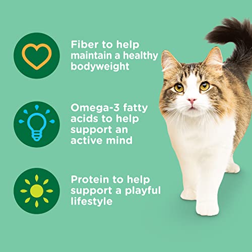 Nutrish Indoor Complete Premium Natural Dry Cat Food with Added Vitamins