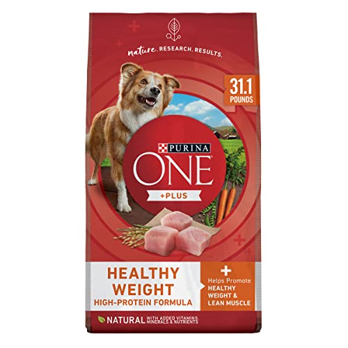 Healthy Weight High-Protein Dog Food Dry Formula - 31.1 Lb. Bag