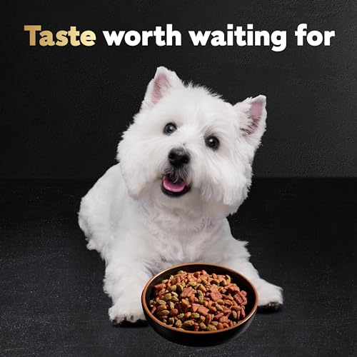 Small Breed Dry Dog Food Filet Mignon Flavor and Spring Vegetables Garnish, 5 lb. Bag