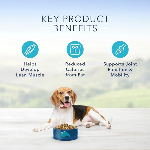 Life Protection Formula Healthy Weight Adult Dry Dog Food, Supports an Ideal Weight, Made with Natural Ingredients, Chicken & Brown Rice Recipe, 30-lb. Bag