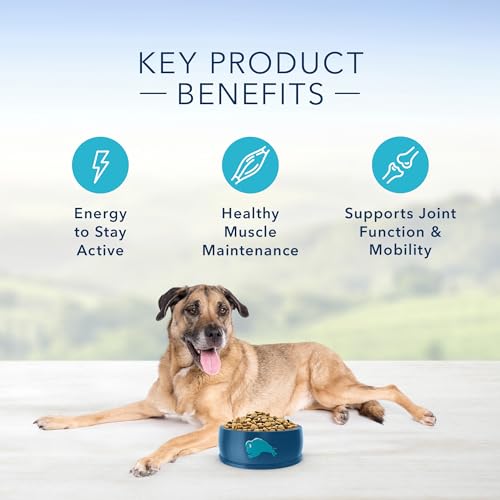 Life Protection Formula Senior Dry Dog Food, Supports Joint Health and Mobility