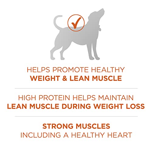 Healthy Weight High-Protein Dog Food Dry Formula - 31.1 Lb. Bag