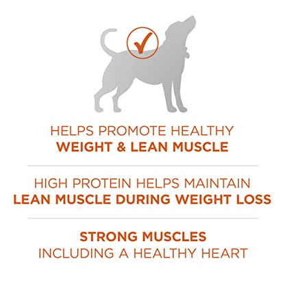 Healthy Weight High-Protein Dog Food Dry Formula - 31.1 Lb. Bag