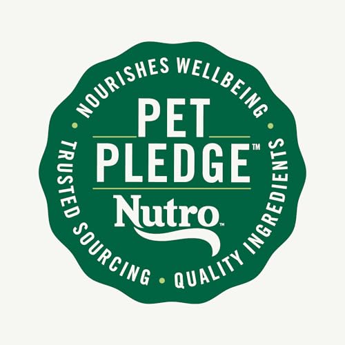 Choice Small Bites Adult Dry Dog Food, Lamb and Brown Rice Recipe, 30 lbs.