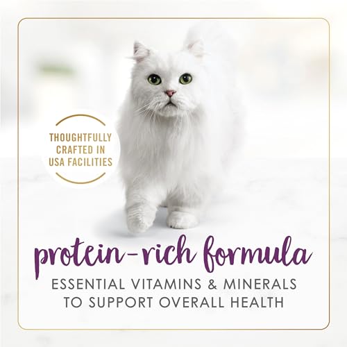 Purina Fancy Feast Senior Wet Cat Food 7 Years Plus Beef Feast Pate