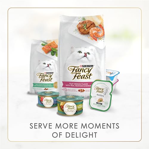 Purina Fancy Feast Senior Wet Cat Food 7 Years Plus Beef Feast Pate