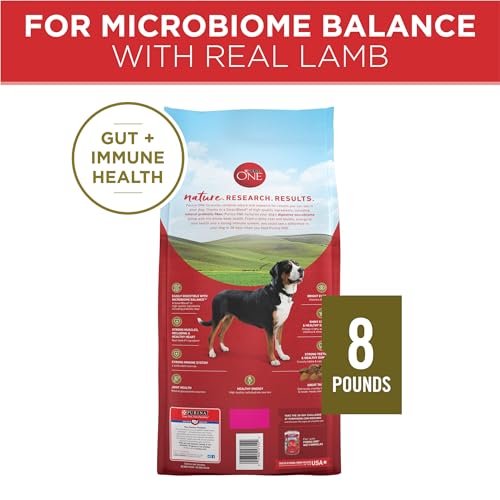 Purina ONE Dry Dog Food Lamb and Rice Formula - 8 lb. Bag