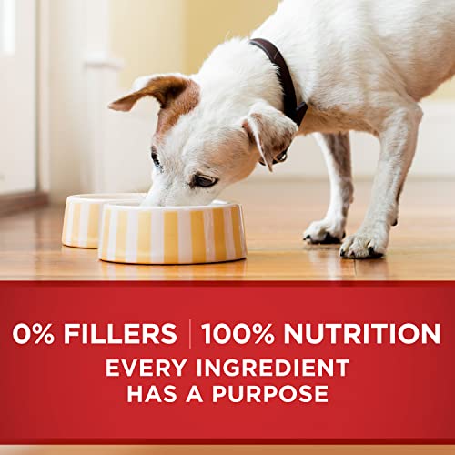Beef and Barley Entrees Wet Dog Food Variety Pack - (2 Packs of 6) 13 oz