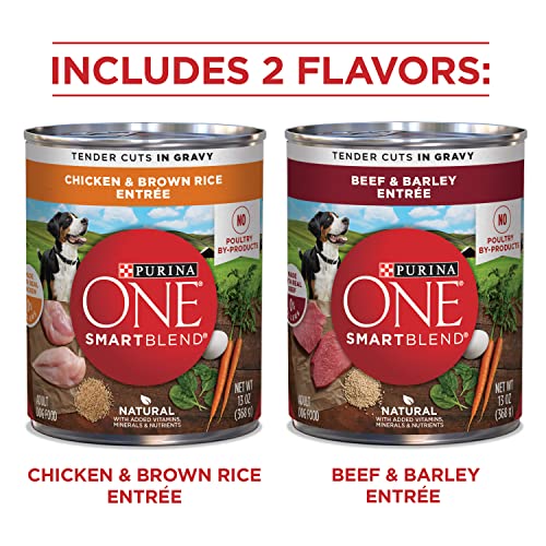 Beef and Barley Entrees Wet Dog Food Variety Pack - (2 Packs of 6) 13 oz