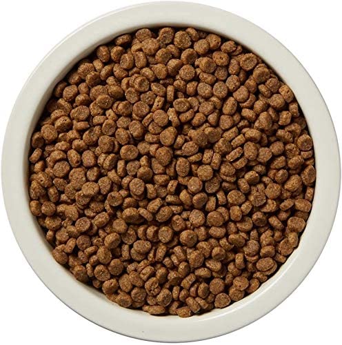 Amazon Brand - Wag Dry Dog Food Chicken & Sweet Potato, Grain Free 4 lb Bag