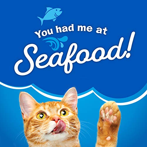 Purina Dry Cat Food, Seafood Sensations - 22 lb. Bag