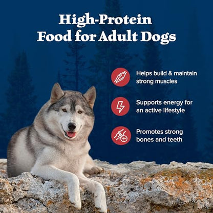 High-Protein Adult Dry Dog Food Wholesome Grains Red Meat