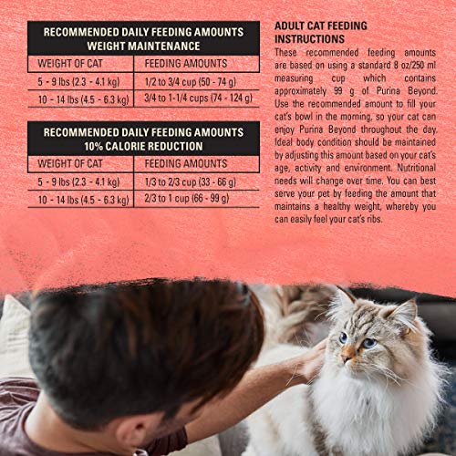 Natural Grain Free Dry Cat Food Simply Indoor Salmon, Egg and Sweet Potato Recipe - 3 lb. Bag