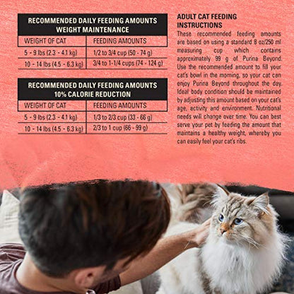 Natural Grain Free Dry Cat Food Simply Indoor Salmon, Egg and Sweet Potato Recipe - 3 lb. Bag