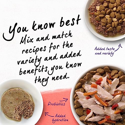 Natural Grain Free Dry Cat Food Simply Indoor Salmon, Egg and Sweet Potato Recipe - 3 lb. Bag