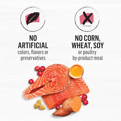 Natural Grain Free Dry Cat Food Simply Indoor Salmon, Egg and Sweet Potato Recipe - 3 lb. Bag