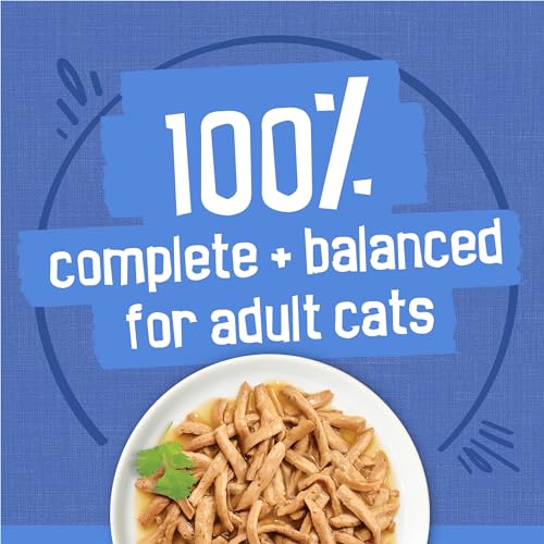 Purina Friskies Wet Cat Food Variety Pack, Shreds Beef and Chicken & Salmon - (Pack of 40)