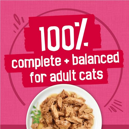 Wet Cat Food Variety Pack, Surfin' & Turfin' Prime Filets Favorites - (Pack of 40)