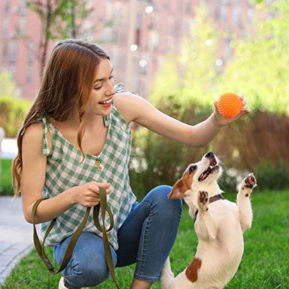 Rachael Ray Nutrish Little Bites Dry Dog Food, Chicken & Veggies Recipe for Small Breeds, 14 Pound Bag