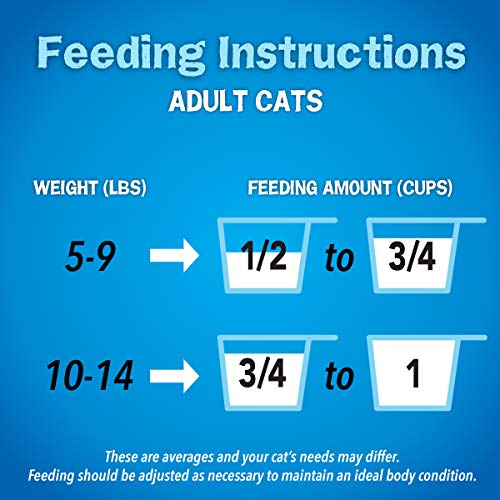 Purina Dry Cat Food, Seafood Sensations - 22 lb. Bag