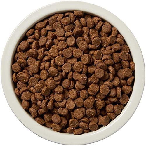Dry Dog Food Salmon & Sweet Potato, Grain Free 24 lb Bag