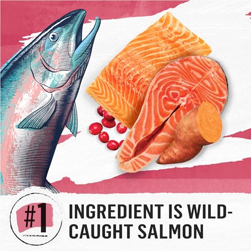 Natural Grain Free Dry Cat Food Simply Indoor Salmon, Egg and Sweet Potato Recipe - 3 lb. Bag