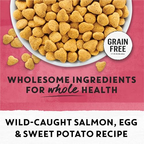 Natural Grain Free Dry Cat Food Simply Indoor Salmon, Egg and Sweet Potato Recipe - 3 lb. Bag