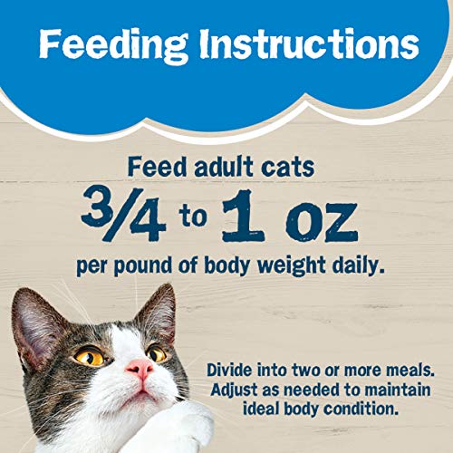 Purina Friskies Ocean Favorites Wet Cat Food Pate and Meaty Bits Variety Pack
