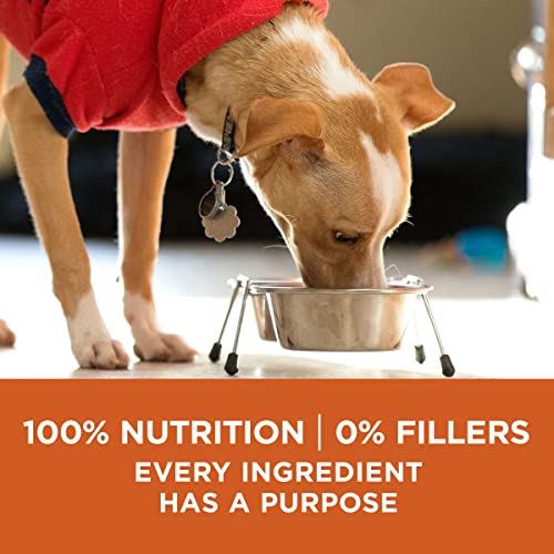Healthy Weight High-Protein Dog Food Dry Formula - 31.1 Lb. Bag