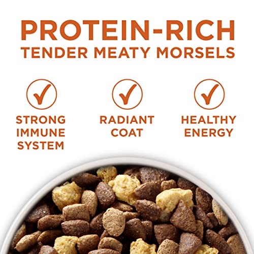 Healthy Weight High-Protein Dog Food Dry Formula - 31.1 Lb. Bag