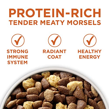 Healthy Weight High-Protein Dog Food Dry Formula - 31.1 Lb. Bag