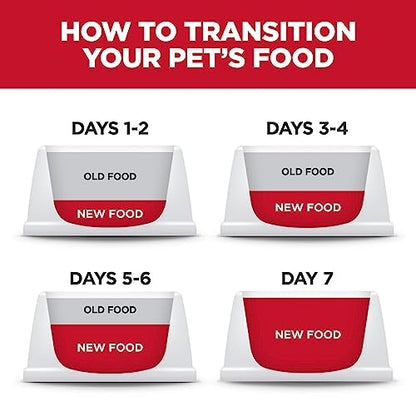 Small & Mini, Adult 1-6, Small & Mini Breeds Premium Nutrition, Dry Dog Food
