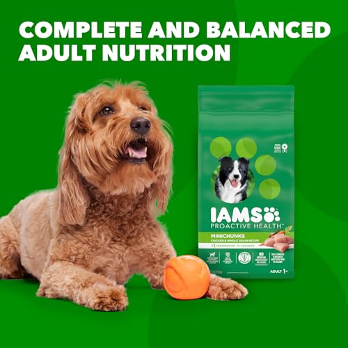 Proactive Health Minichunks Adult Dry Dog Food with Real Chicken, 30 lb. Bag